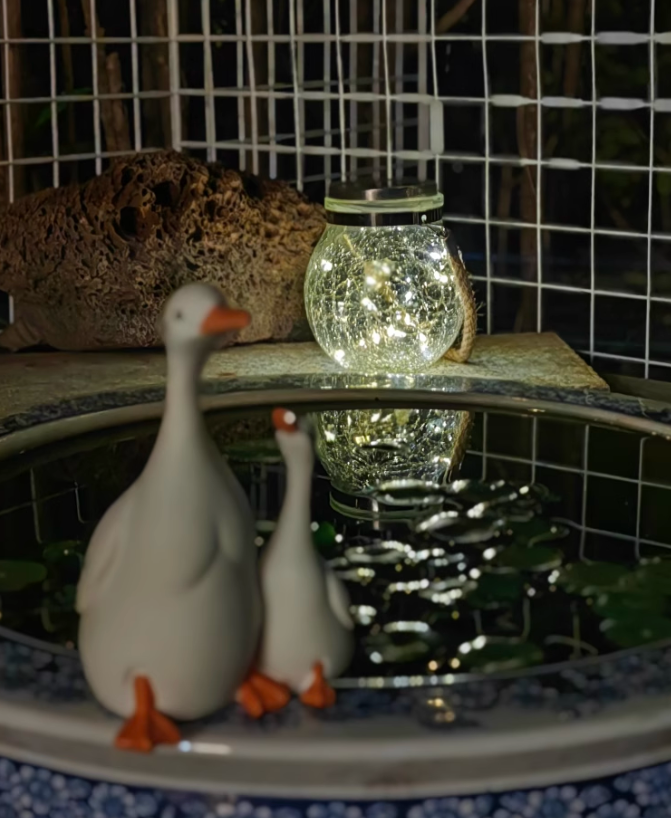 مواجهه با یک شب شاعرانه! نور کوچک محیط یک گوشه رمانتیک میکرو را روشن می کند